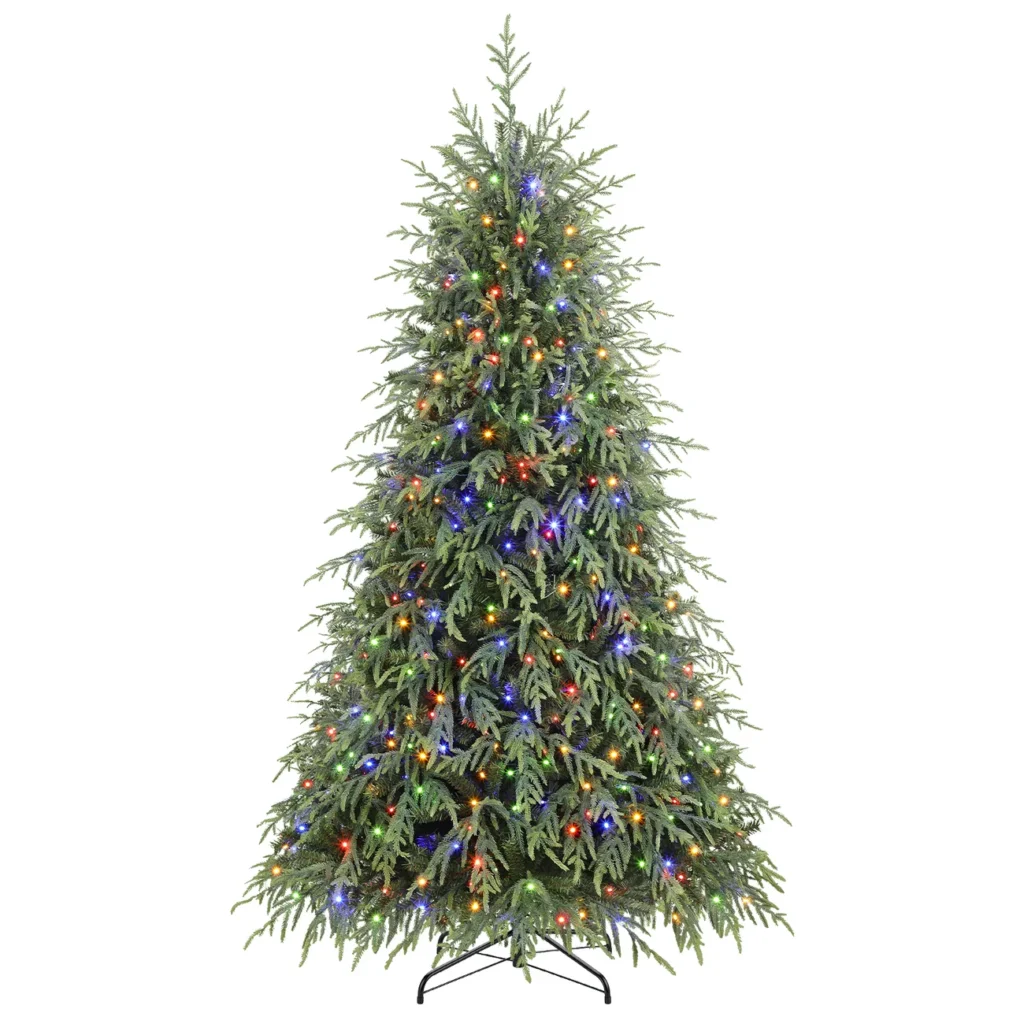 Norfolk Pine Christmas Trees