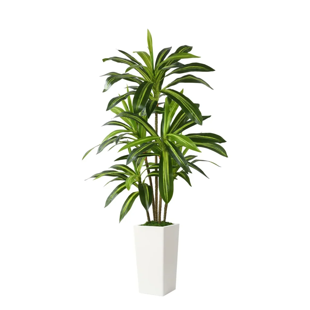 Artificial Dracaena Tree in a white planter for indoor decor
