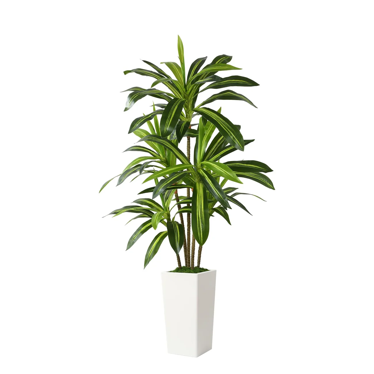 Artificial Dracaena Tree in a white planter for indoor decor