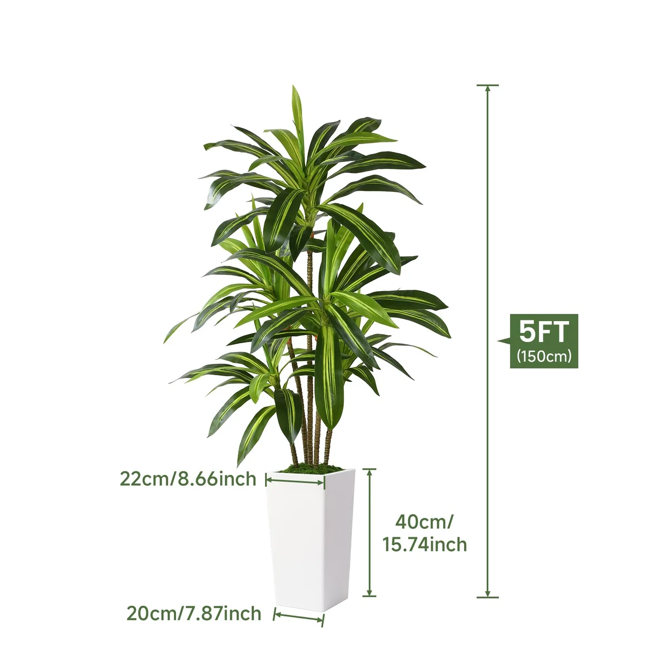 Artificial Dracaena Tree 4/5/6FT – Faux Indoor Plant with White Planter - Image 7